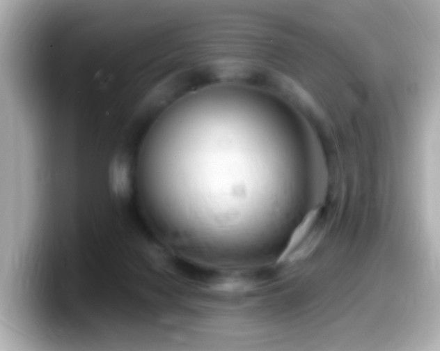 X0000099960074200805231349