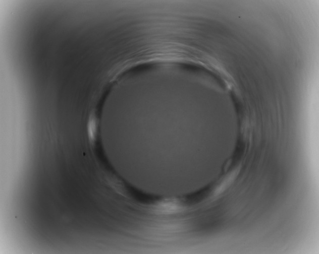 X0000099960076200805231349
