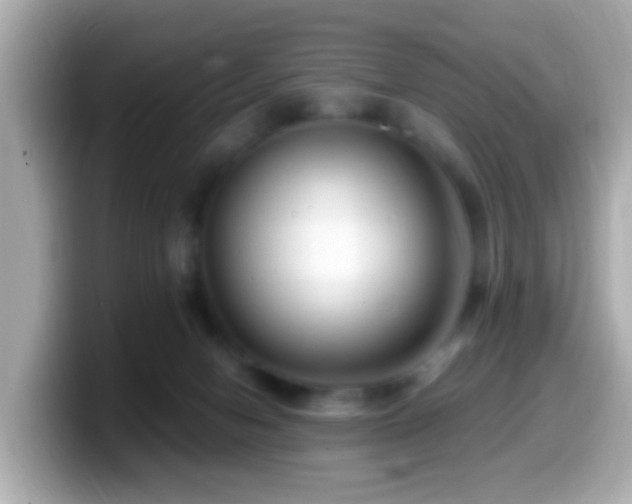 X0000099960078200805231349