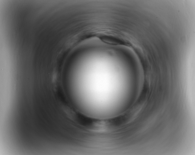 X0000099960079200805231349