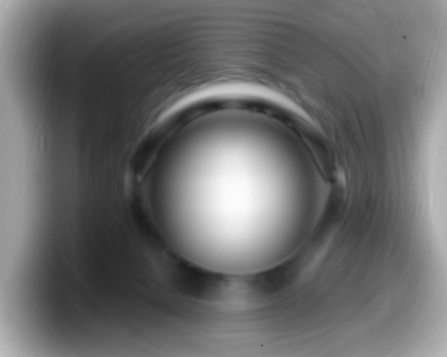 X0000099960080200805231349