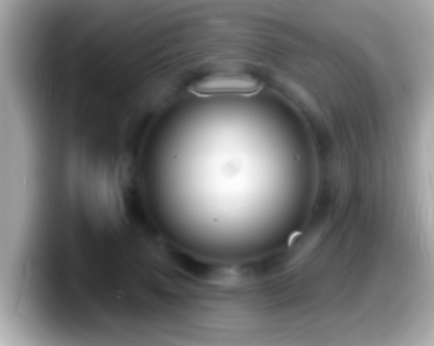 X0000099960083200805231349