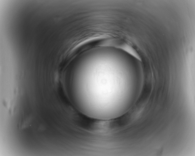 X0000099960084200805231349