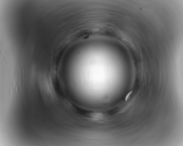 X0000099960085200805231349