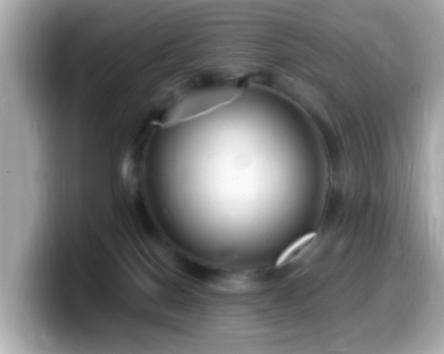 X0000099960086200805231349