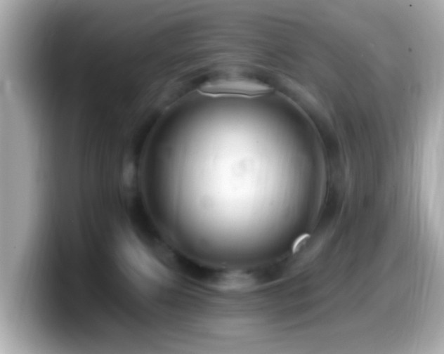 X0000099960087200805231349