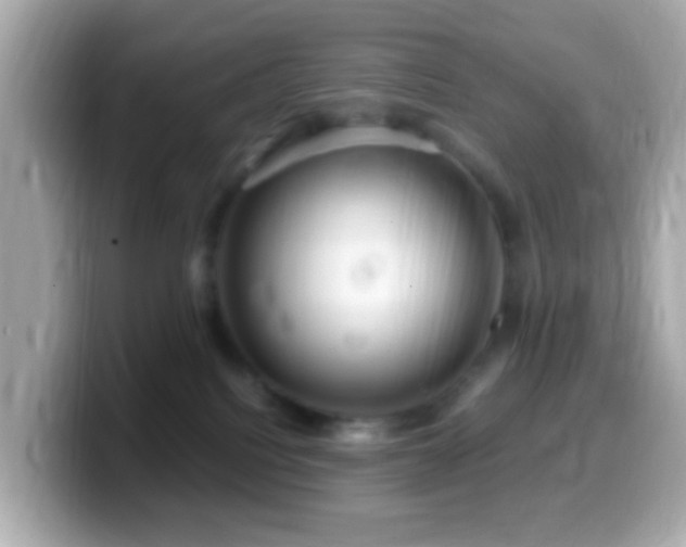X0000099960088200805231349