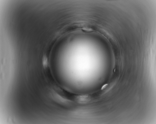 X0000099960089200805231349
