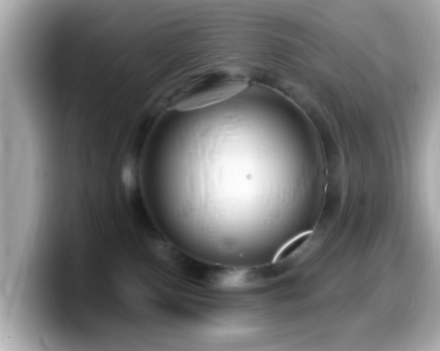 X0000099960090200805231349