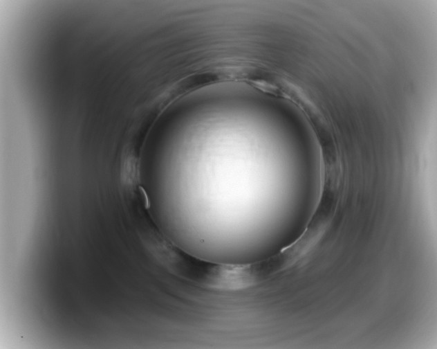 X0000099960093200805231349