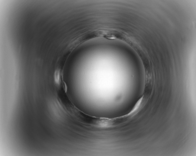 X0000099960094200805231349