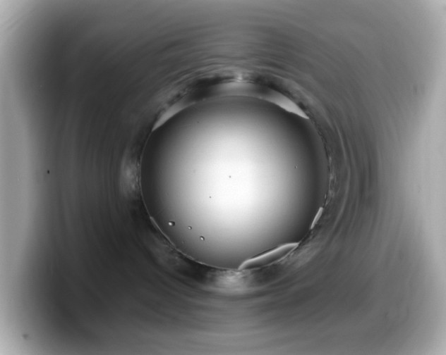 X0000099960096200805231349