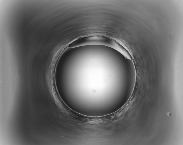 X0000099960097200805231348