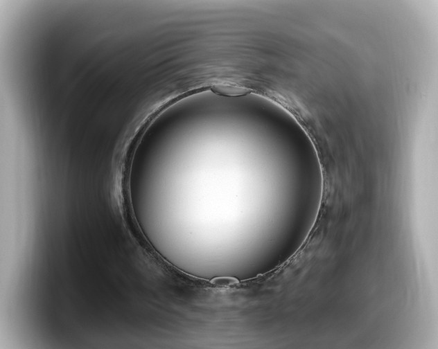X0000099960098200805231348