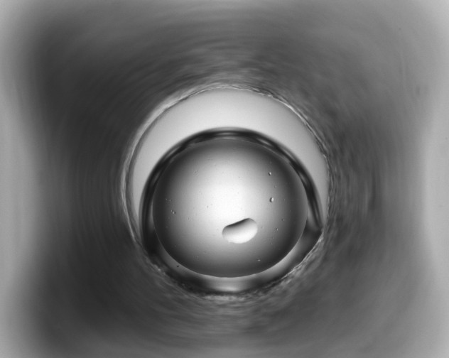 X0000099960100200805231348