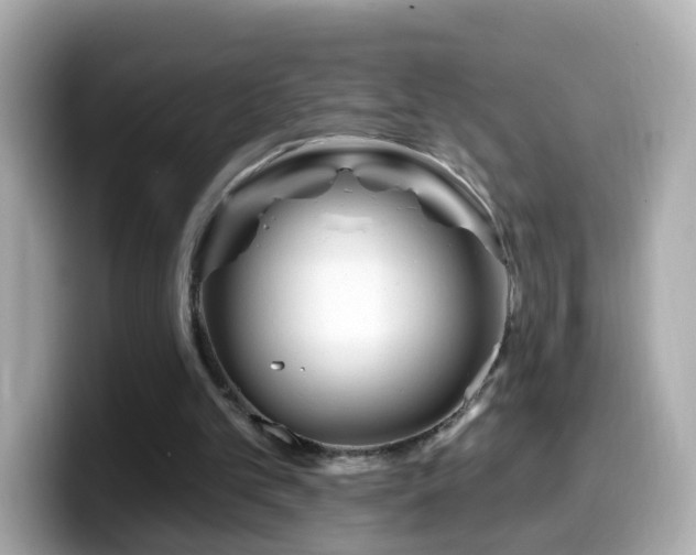 X0000099960101200805231348