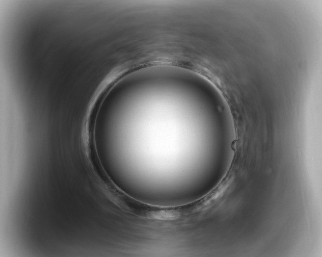 X0000099960102200805231348