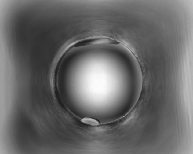 X0000099960103200805231348