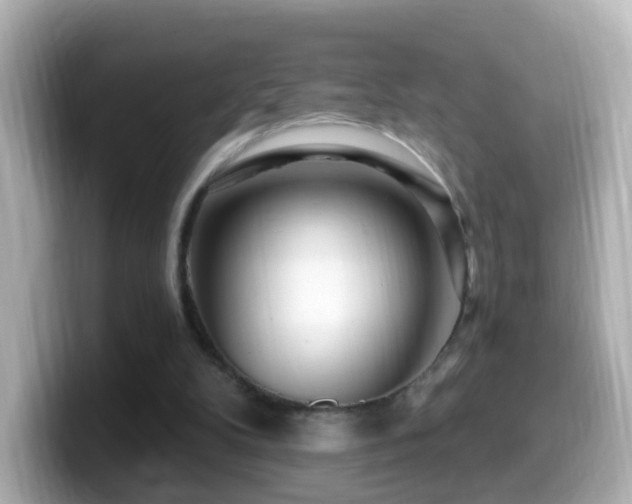 X0000099960104200805231348