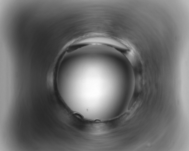 X0000099960108200805231348