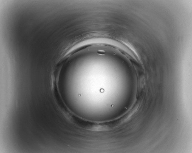 X0000099960109200805231348