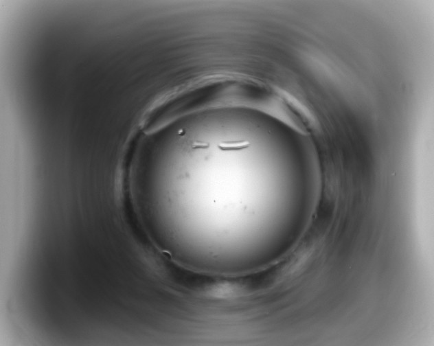 X0000099960111200805231348