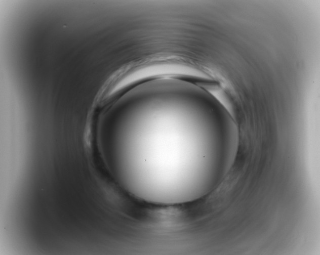 X0000099960112200805231348