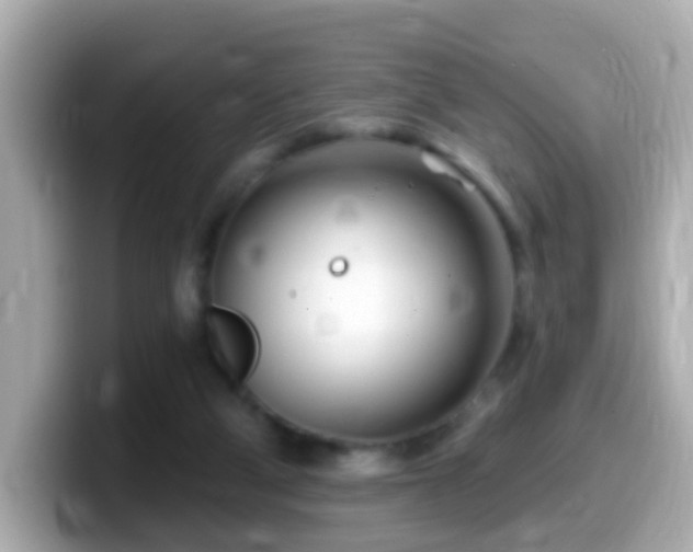 X0000099960114200805231348
