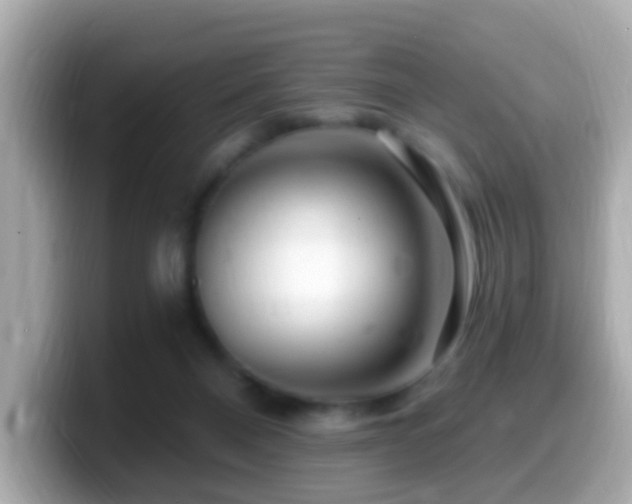 X0000099960120200805231348