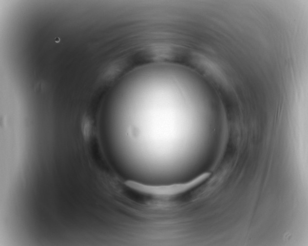 X0000099960123200805231348