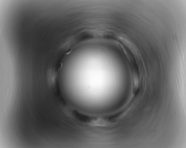 X0000099960125200805231348