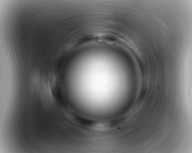 X0000099960126200805231348