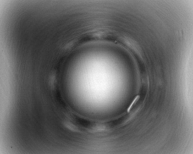 X0000099960127200805231348