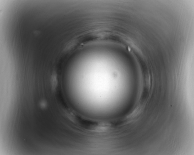 X0000099960128200805231348