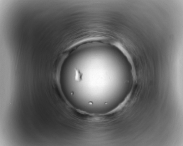 X0000099960129200805231348