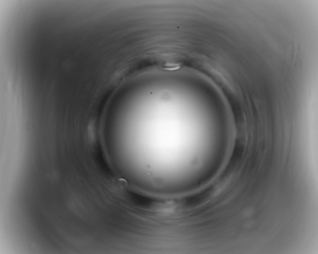 X0000099960131200805231348