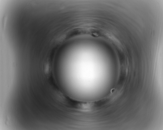X0000099960134200805231348