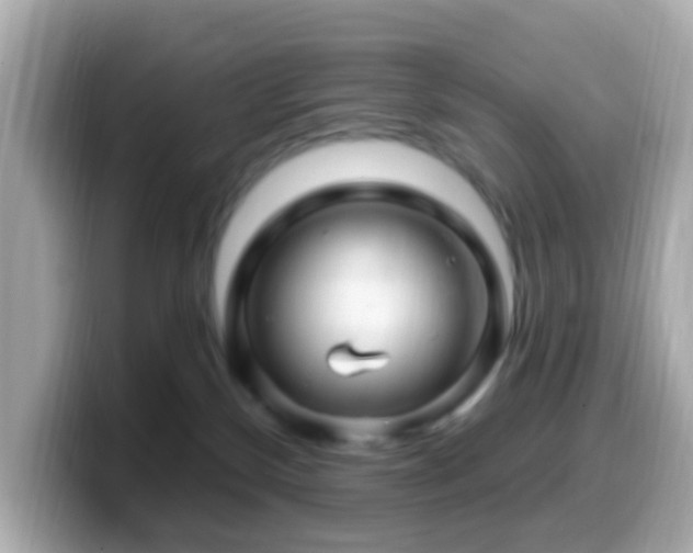 X0000099960136200805231348