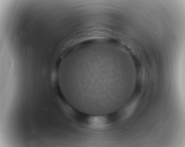 X0000099960137200805231348