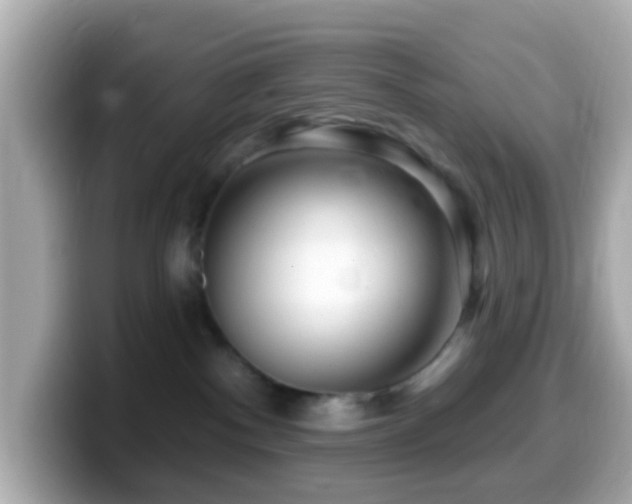 X0000099960140200805231348