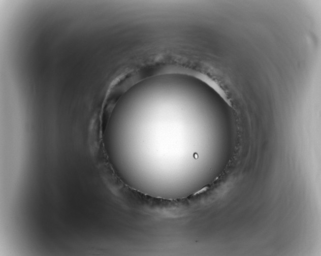 X0000099960144200805231348