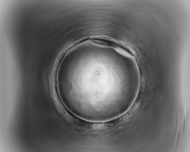 X0000099960145200805231347