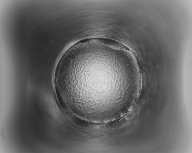 X0000099960147200805231347