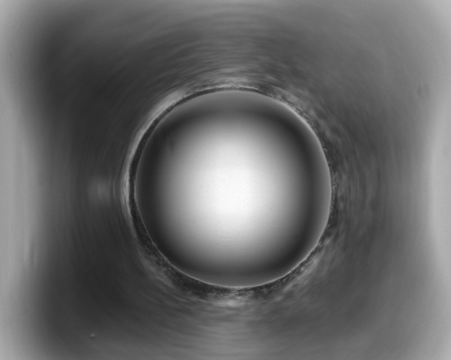 X0000099960148200805231347