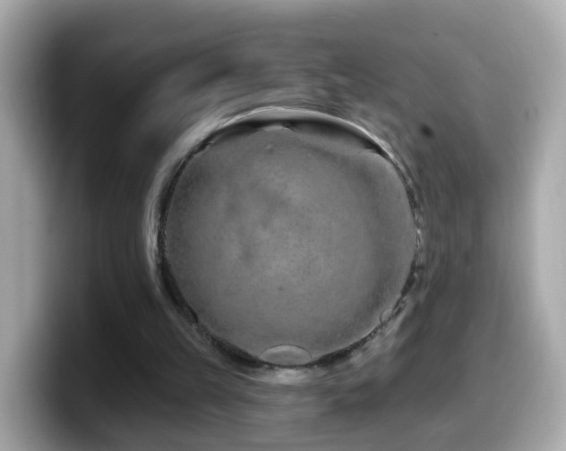 X0000099960149200805231347