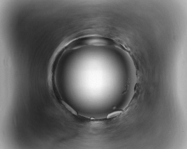 X0000099960150200805231347
