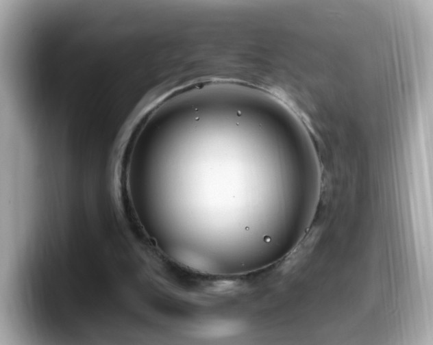 X0000099960151200805231347