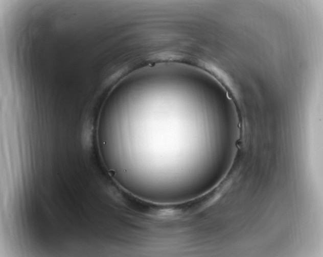 X0000099960153200805231347