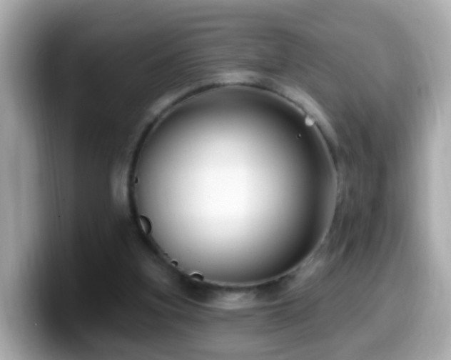 X0000099960155200805231347