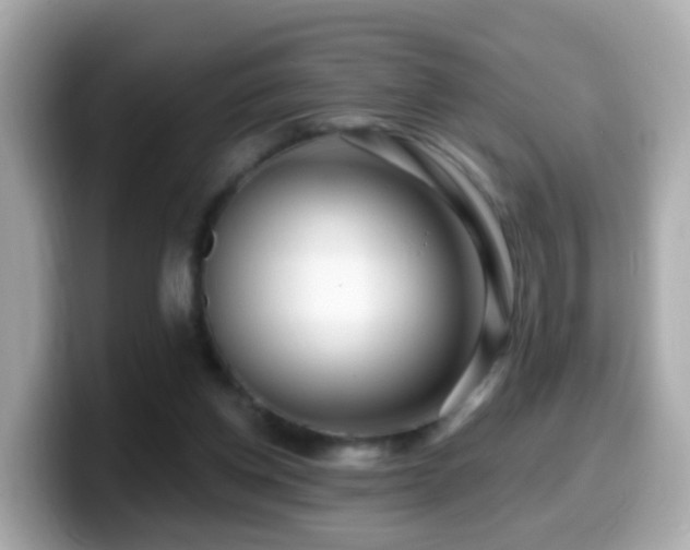 X0000099960158200805231347